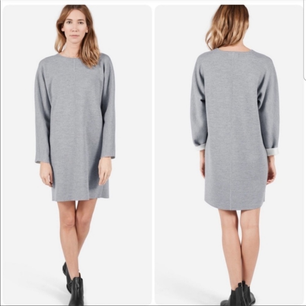 Everlane dress